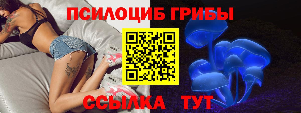 Псилоцибиновые грибы мицелий Семилуки